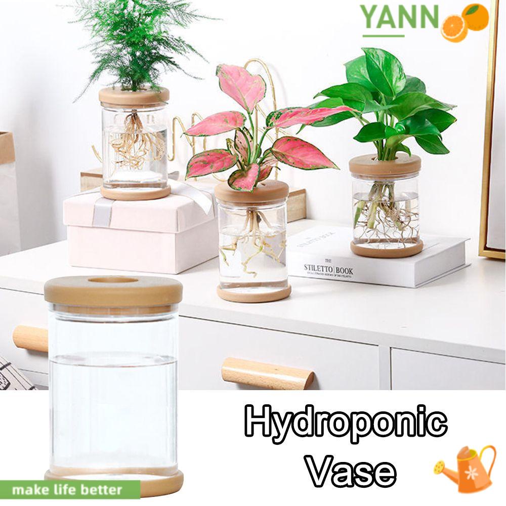 Chậu Hoa Thủy Canh Bằng Nhựa Trong Suốt Để Bàn Trang Trí Văn Phòng 1 #