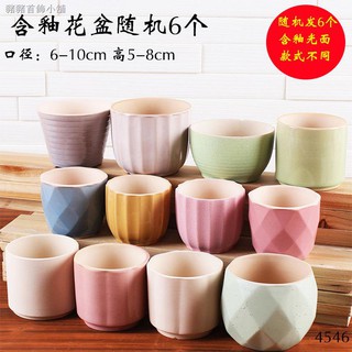 Chậu Cây Bằng Gốm Sứ Cỡ Lớn Thiết Kế Dễ Thương Chuyên Dùng
