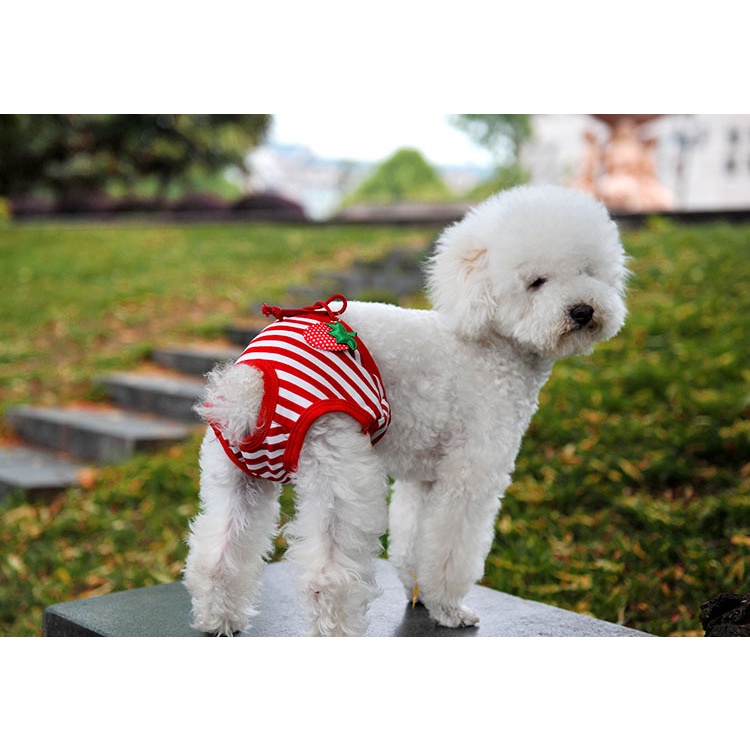 Yếm Quần Sinh Lý Cho Chó Cái/Quần Chip Chó Mèo Thú Cưng Ngày Rụng Dâu