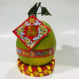 SET ĐẾ CHƯNG DƯA, BƯỞI TRANG TRÍ TẾT (set 1 cái)