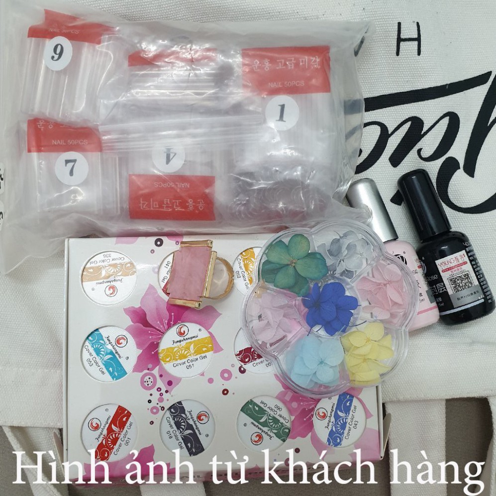 nam0 Hoa khô trang trí móng tay - Set 7 màu hoa khô nail, cánh hoa to và mỏng đắp ẩn theo phong cách Hàn Nhật nam0