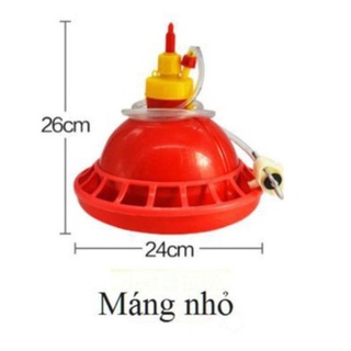 Máng chuông nhỏ cho gà vịt, máng nước tự động