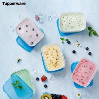 Bộ Hộp Trữ Đông  Freezermate 290ml Tupperware, Hộp Nhựa Nguyên Sinh An Toàn