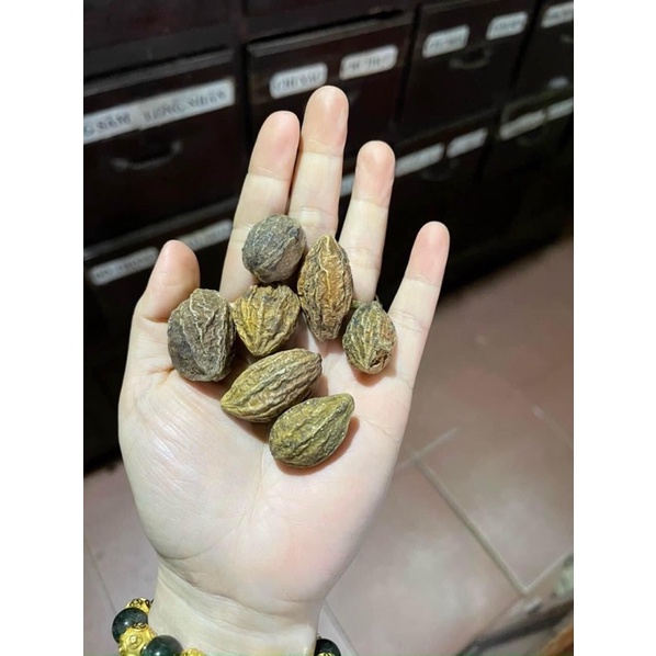 500g Quả kha tử ngậm ho, tiêu đờm