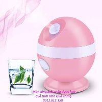 Máy xông mặt hoa quả thảo dược