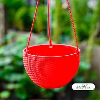 Chậu treo mây Lớn (19x13 cm) trồng hoa treo mẫu mã đẹp, màu sắc tươi sáng