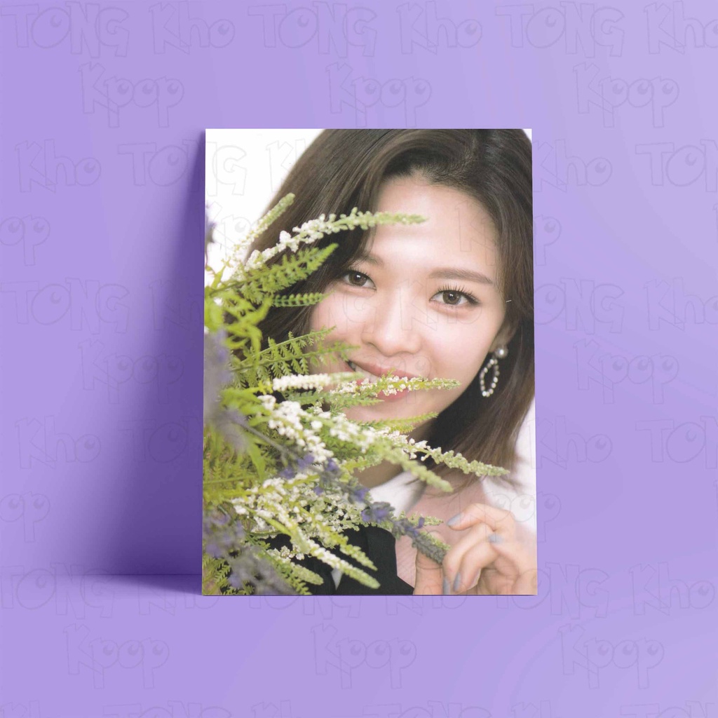 Tấm Postcard cao cấp giấy 260gsm in hình TWICE ver PTB 2 idol Kpop  ảnh đẹp nhiều mẫu