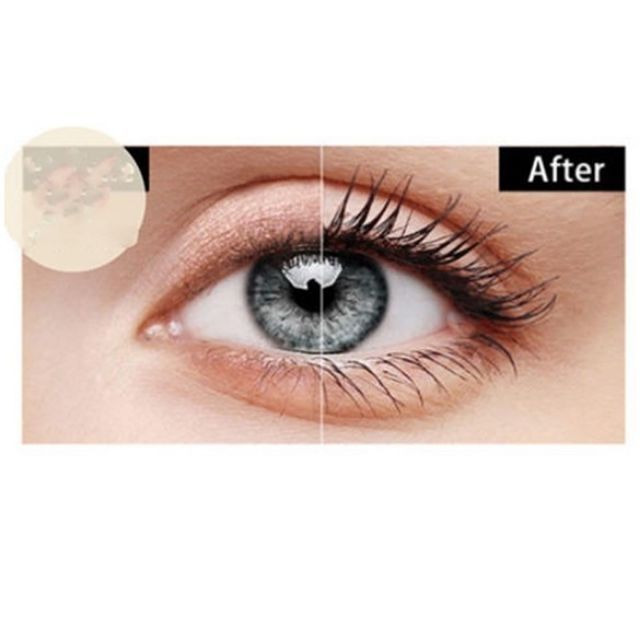 Mascara dày; dài lâu trôi 24h  kiss beauty