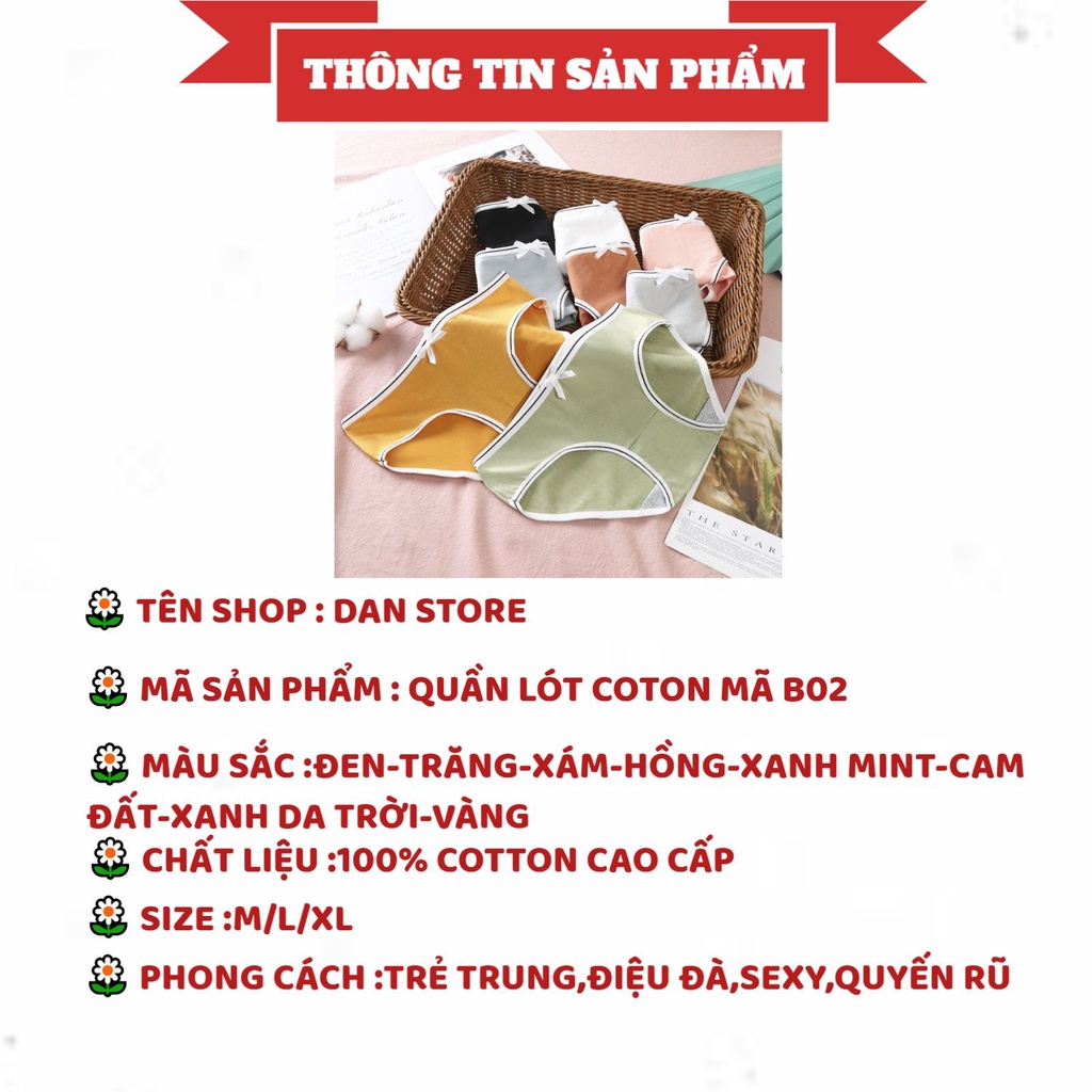 Quần Lót Cotton - Quần Lót Nữ Cotton 100% kháng khuẩn thoáng mát viền kẻ màu DAN STORE MÃ B02