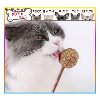 Catnip Lollipop Cỏ mèo .đồ ăn vặt cho mèo,cỏ bạc hà cho mèo