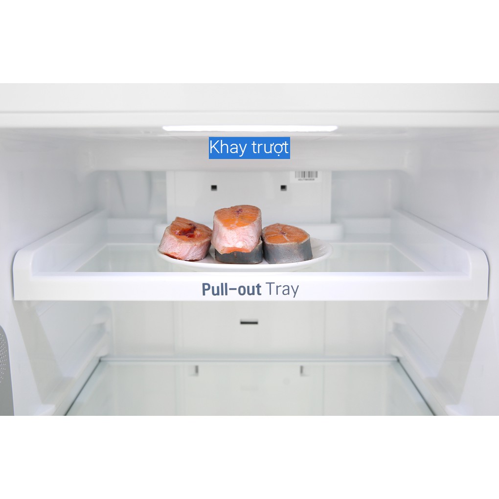 [GIAO HCM] - Tủ lạnh LG GN-D255BL, 255 lít, Inverter - HÀNG CHÍNH HÃNG