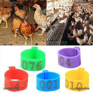 [shakangfine] 100 Vòng Kẹp Chân Gà Vịt Cỡ Lớn 16mm