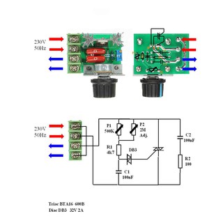 Mạch Dimmer AC 2000W - R59V