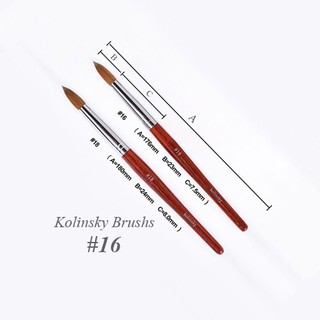 Cọ đắp bột lông chồn DC Kolinsky số 12 số 14 số 16