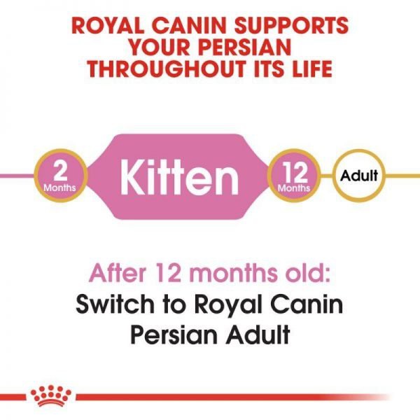 2kg Hạt Royal Canin Persian Kitten dành cho mèo Ba Tư dưới 12 tháng tuổi