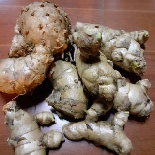Nghệ trắng rừng,500g