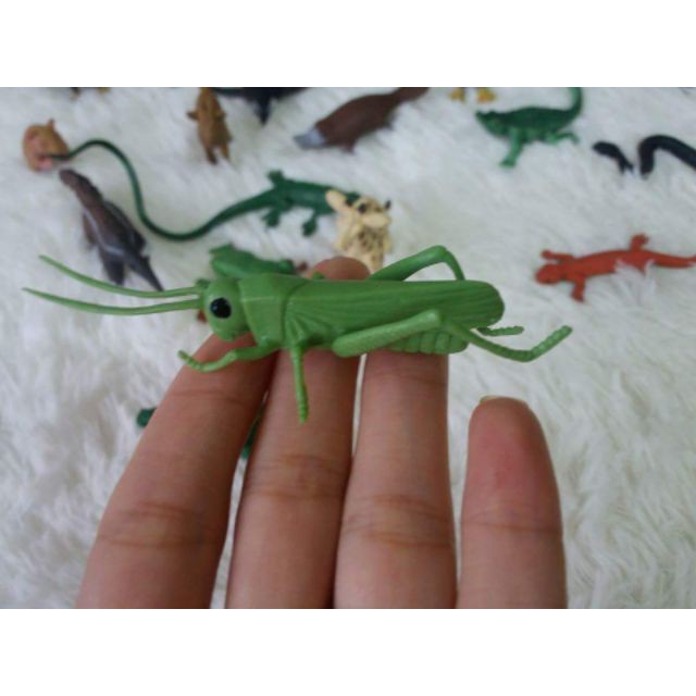 Bộ 36 động vật hoang dã SAFARI (hàng xuất dư) quà tặng cho bé trẻ em