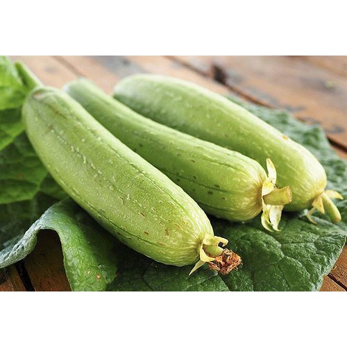 SALE 1K - Hạt giống mướp hương siêu thơm - tặng kèm Thuốc kích mầm + 5 hạt hướng dương lùn siêu bông)