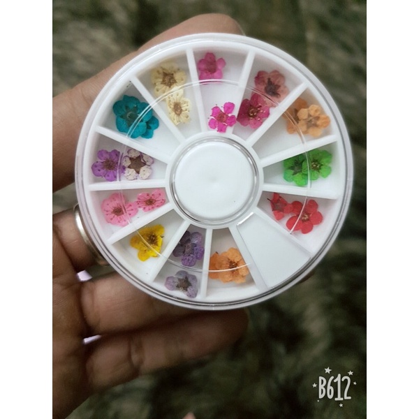 Hoa khô nail 5 cánh ẩn gel - Hoa khô nail trang trí móng