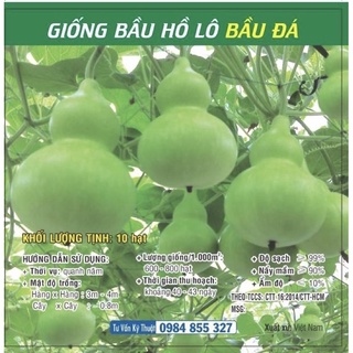 Hạt giống Bầu hồ lô