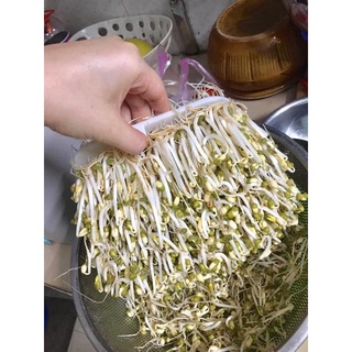 MÁY LÀM GIÁ ĐỖ ĐA NĂNG