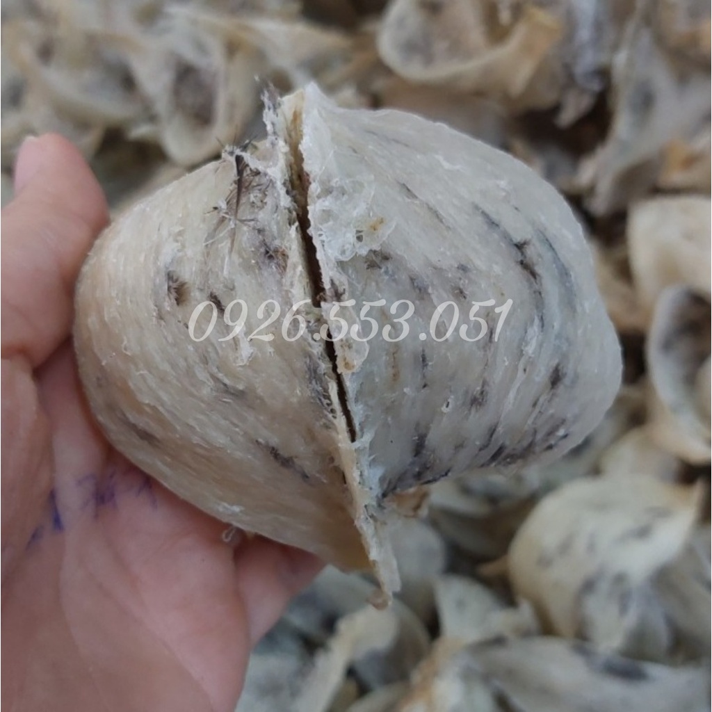 Tổ yến thô loại 1   hỗ trợ sức khỏe