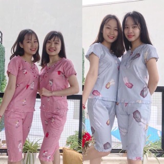 Đồ bộ mặc nhà , 2 màu hồng và xanh