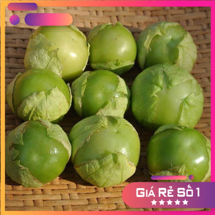 Hạt giống Thù Lù Xanh Khổng Lồ F1 (blue tomatillo) Nhập Mỹ nảy mầm 100%- 30 hạt (tầm bóp tây)