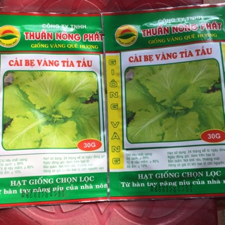 30g HẠT GIỐNG CẢI BẸ VÀNG TỈA TẦU - HẠT GIỐNG CHỌN LỌC