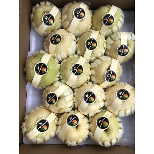 Set 2 trái lê sữa Hàn Quốc hơn 1 kg