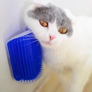 Miếng Dán Matxa Cho Mèo