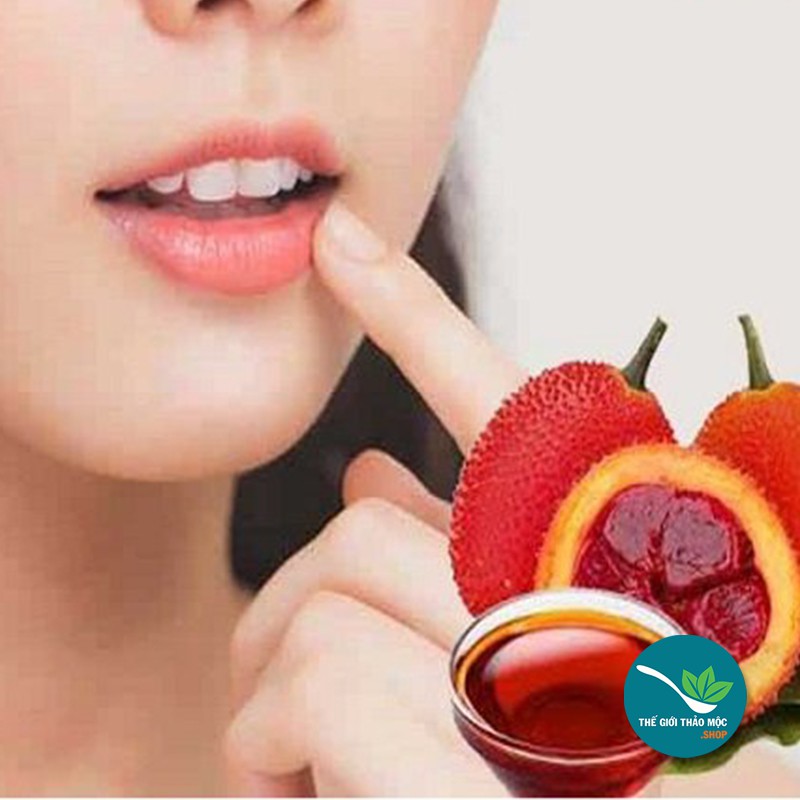 Lăn môi dầu gấc cho đỏ môi 1 chiếc 10ml - TM402 | BigBuy360 - bigbuy360.vn
