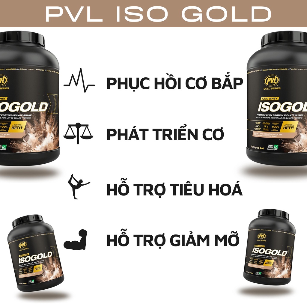 PVL ISO GOLD - Sữa Tăng Cơ Siêu Tinh Khiết Hấp Thu Nhanh - Có thêm Probiotic hỗ trơ tiêu hoá tốt  - Hủ 5lbs