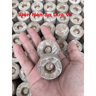 100 viên nén xơ dừa ươm cây v1 loại cao cấp