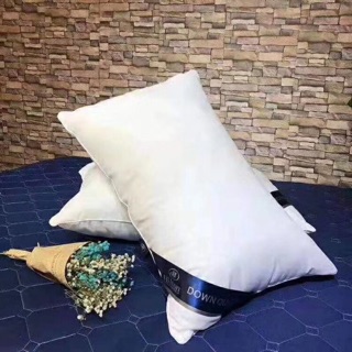 Cặp ruột gối lông vũ Hilton