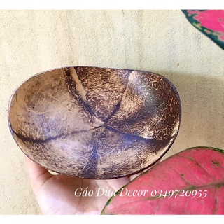Đĩa Gáo Dừa Ovan Decor Food