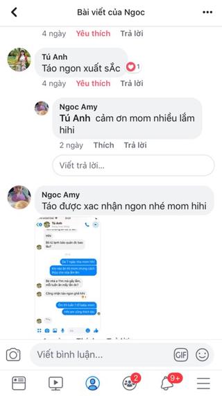 Táo Đỏ Hữu Cơ Ninh Hạ