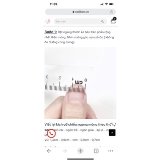 móng úp nail box