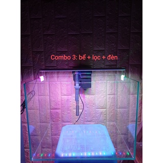 Combo bể cá+lọc+đèn. Chỉ cần về chơi
