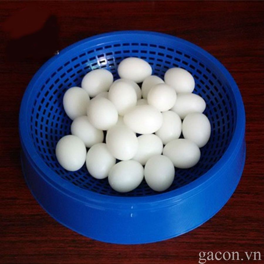 TRỨNG GIẢ CHO CHIM BỒ CÂU- [Combo 5 quả]- Trứng bồ câu giả