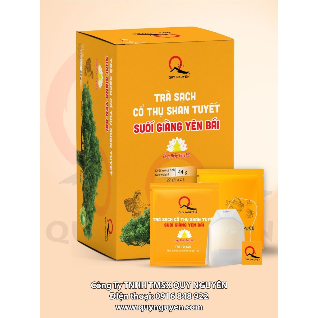TRÀ SẠCH CỔ THỤ SHAN TUYẾT SUỐI GIÀNG YÊN BÁI -Trà Ban Tra Quy Nguyên