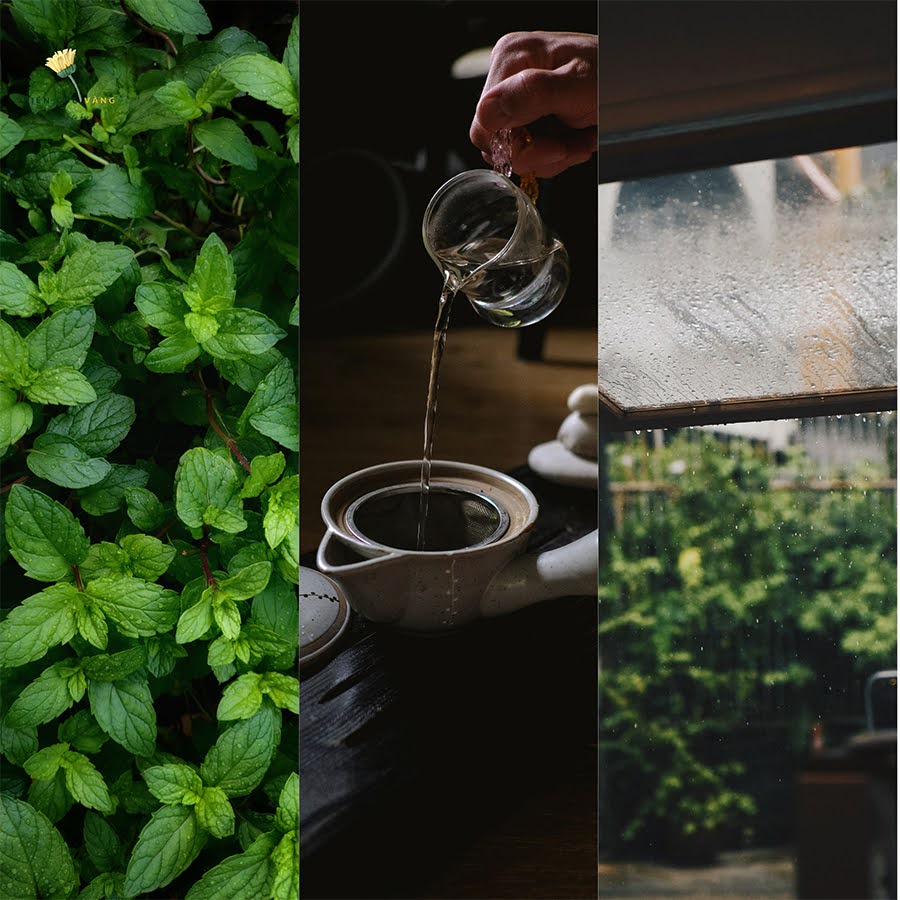 1Kg Trà Cây Bạc Hà Sấy Lạnh The Mát