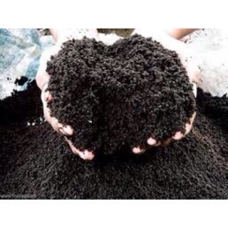 Phân trùn quế trộn đất trồng cây 15k/1kg