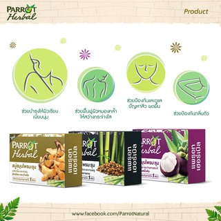 XÀ BÔNG PARROT HERBAL 100g
