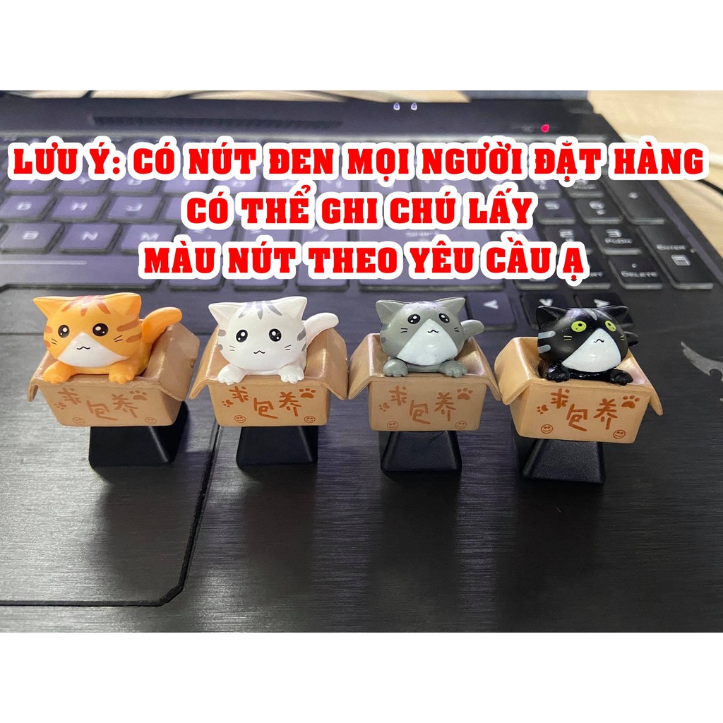 Keycap Mèo Con Trong Hộp Cute, Nút bàn phím Mèo Dễ thương
