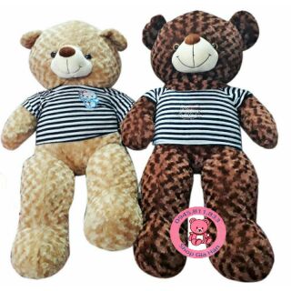 Gấu Teddy 1m2