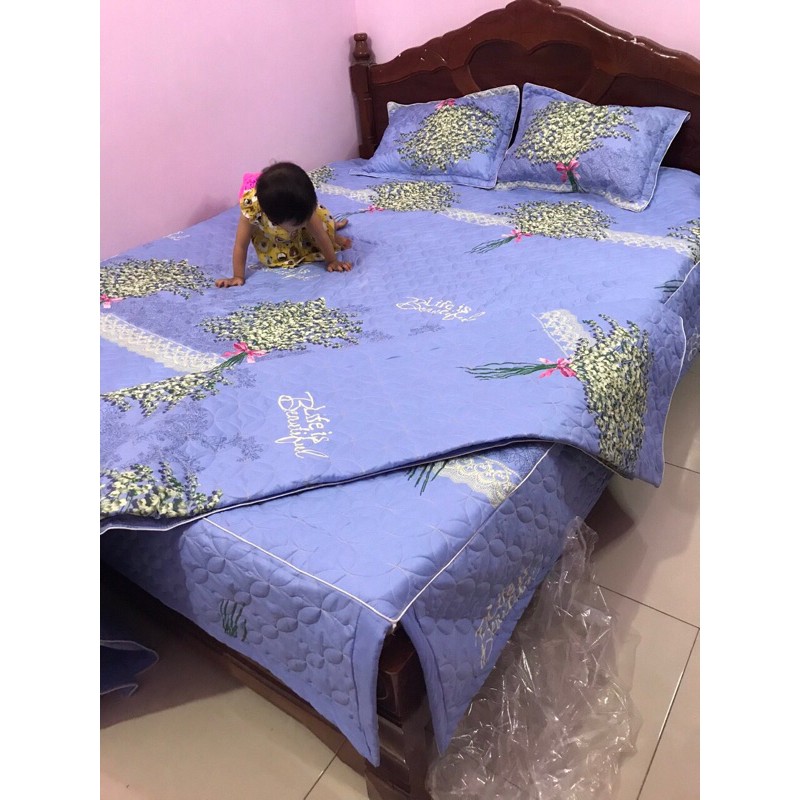 Ga phủ chần bông và 2 vỏ gối