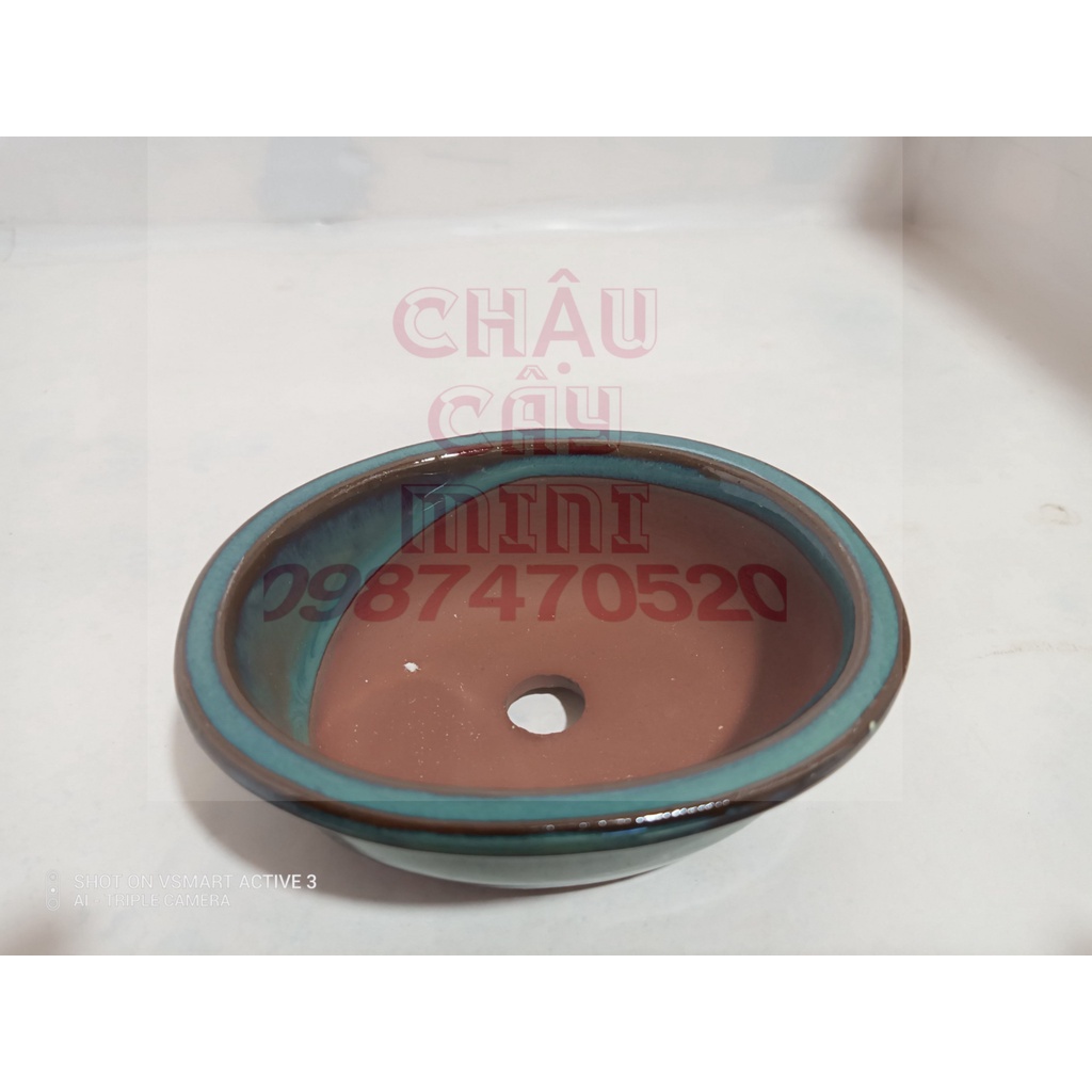 Chậu  sứ men xanh ,bầu dục cạn trồng bonsai, sen đá mini, chậu  hoa mini