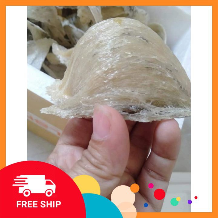 Yến Sào NGuyên Tổ Khánh Hòa Loại 1 khối lượng 100g [YẾN NHÀ NUÔI] BAO TEST, ĐƯỢC KIỂM TRA TRƯỚC KHI NHẬN HÀNG, FREESHIP