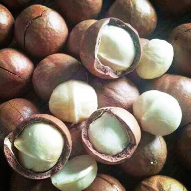 Hạt mắc ca tách nứt Đắc Lắk tặng kèm đồ khui